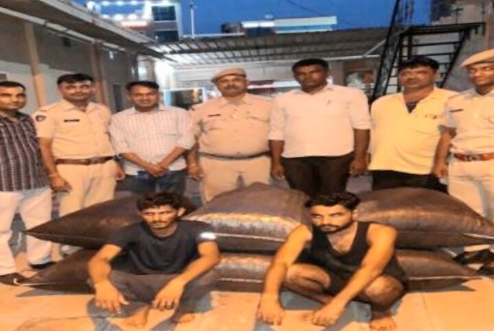 131-100-kg-of-illegal-doda-poppy-recovered-from-residential-house-rs-1-80-lakh-seized
