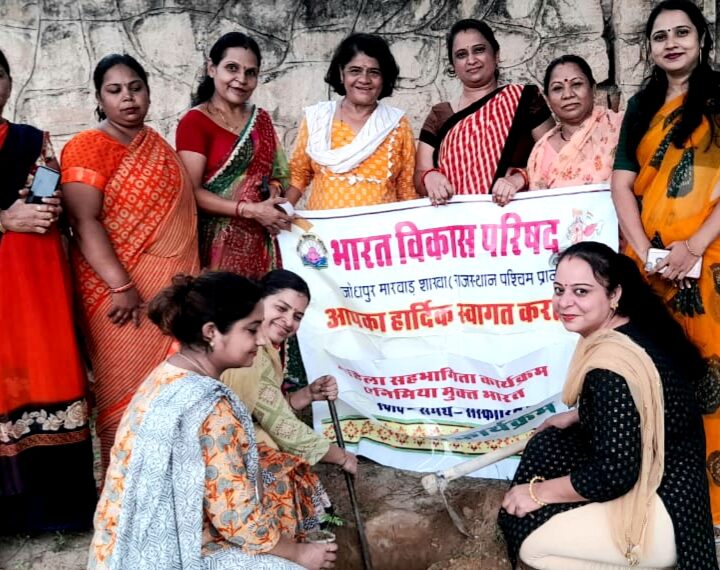 women-did-tree-plantation-in-the-school