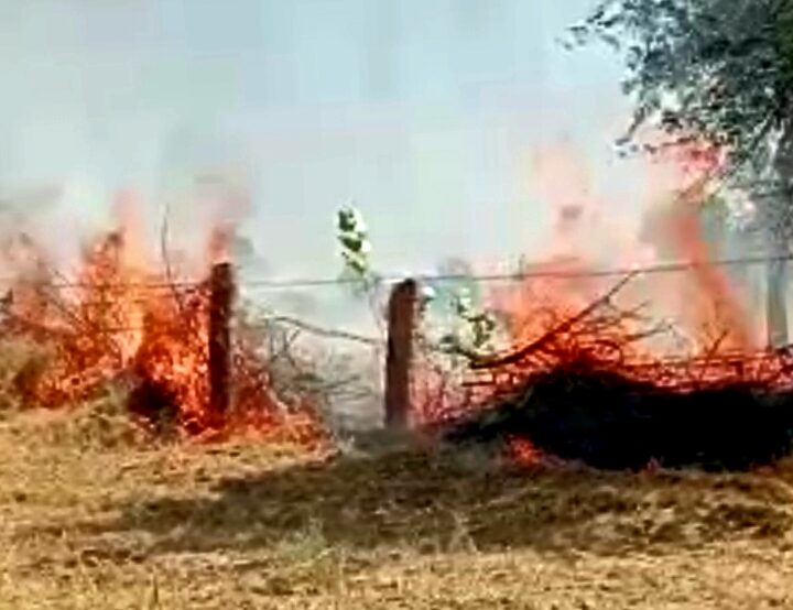 fierce-fire-broke-out-in-sixty-bigha-farm-in-satlana-village