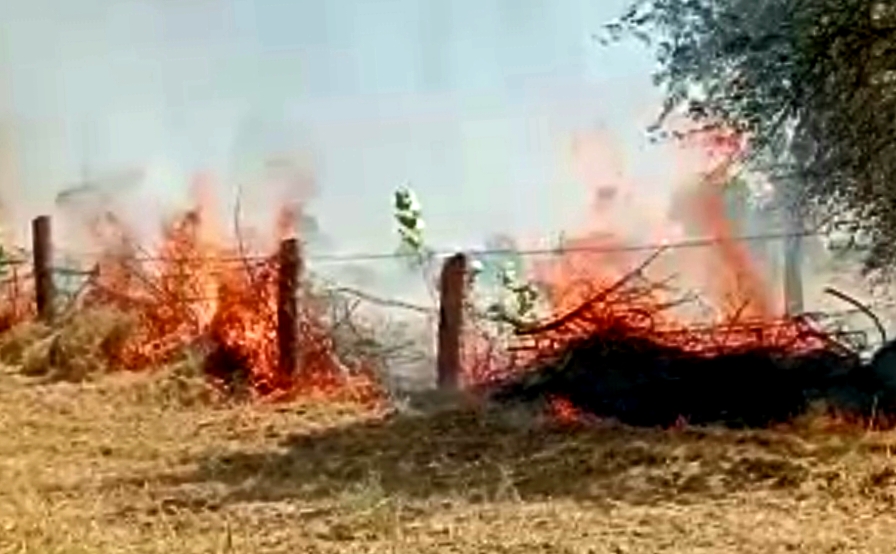 fierce-fire-broke-out-in-sixty-bigha-farm-in-satlana-village