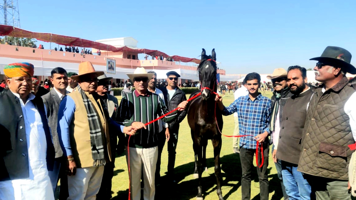 two-day-second-marwari-horse-show-inaugurated-in-ransi-village