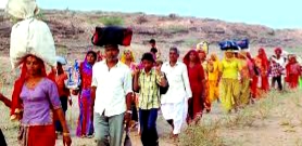 one-lakh-devotees-likely-to-come-this-time-in-bhogishail-parikrama