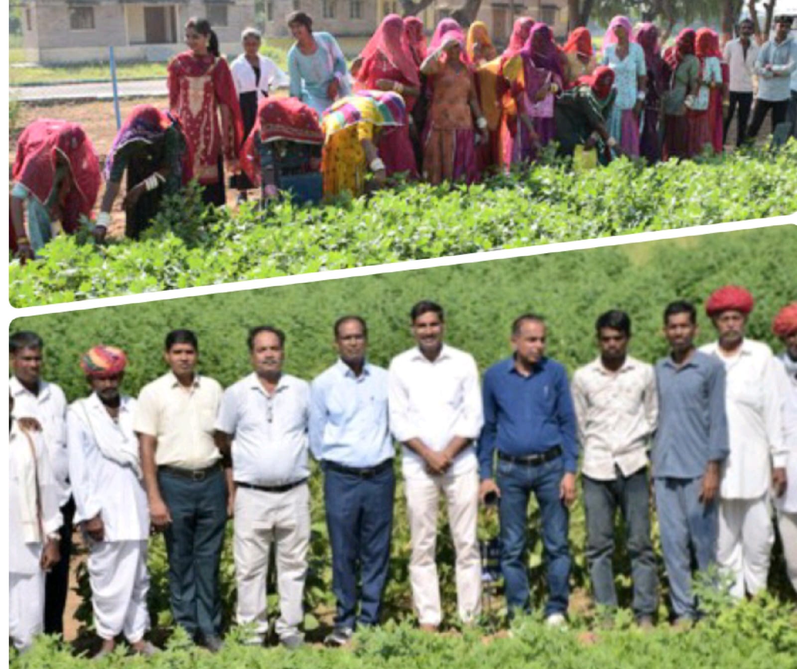 Farmer Innovation Day Kharif 2024 organized at KAZRI