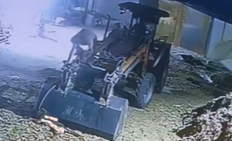 पालतू श्वान को जेसीबी से फंदे पर लटका कर मारा