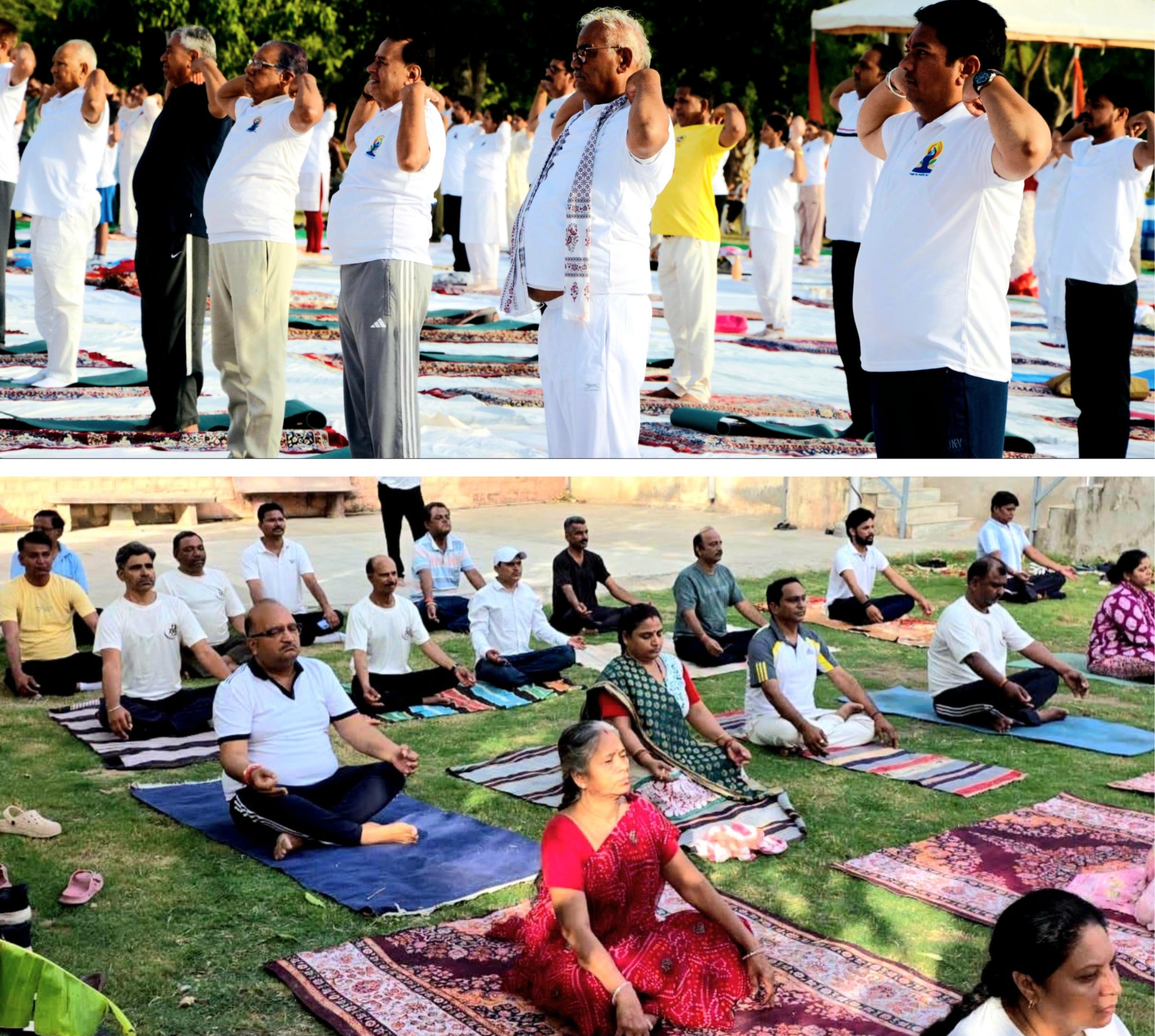 अंतर्राष्ट्रीय योग दिवस पर सभी मंडलों में हुए वृहद योग कार्यक्रम
