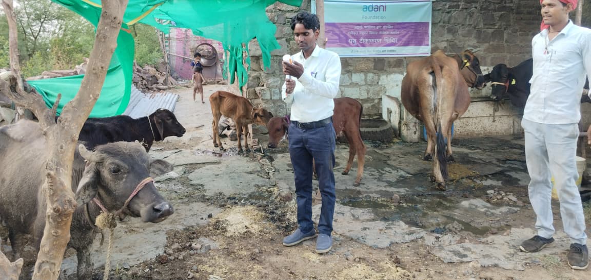 मानसून से पहले पशुओं का टीकाकरण जरूरी