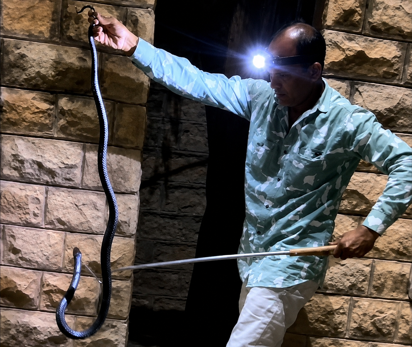 6-foot-long cobra found in Ashok Udyan