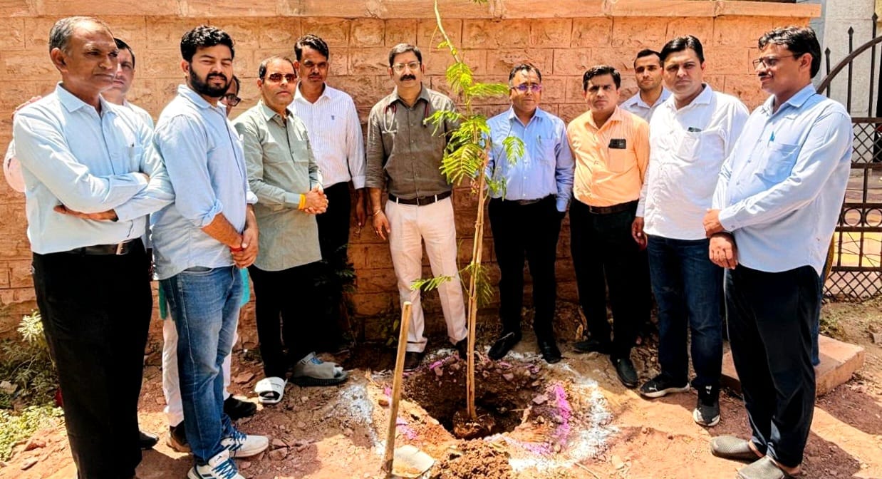 डॉक्टर्स डे पर एमडीएमएच में हुआ वृक्षारोपण